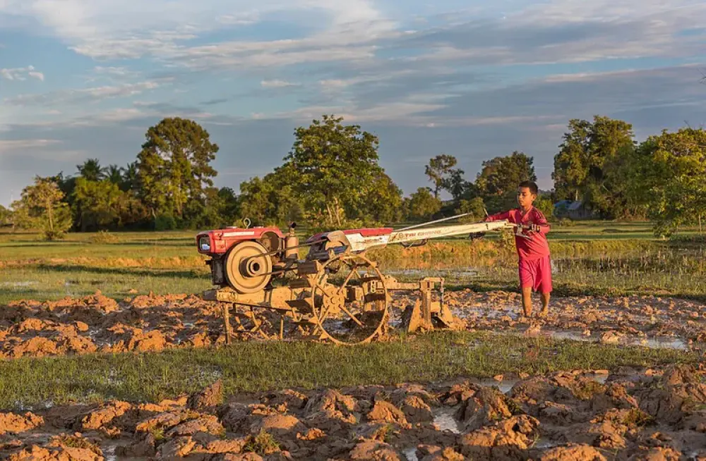 Corn Harvester